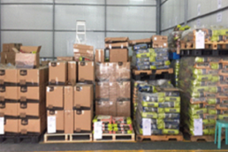Yantian Export supervised Warehouse