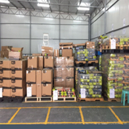 Yantian Export supervised Warehouse